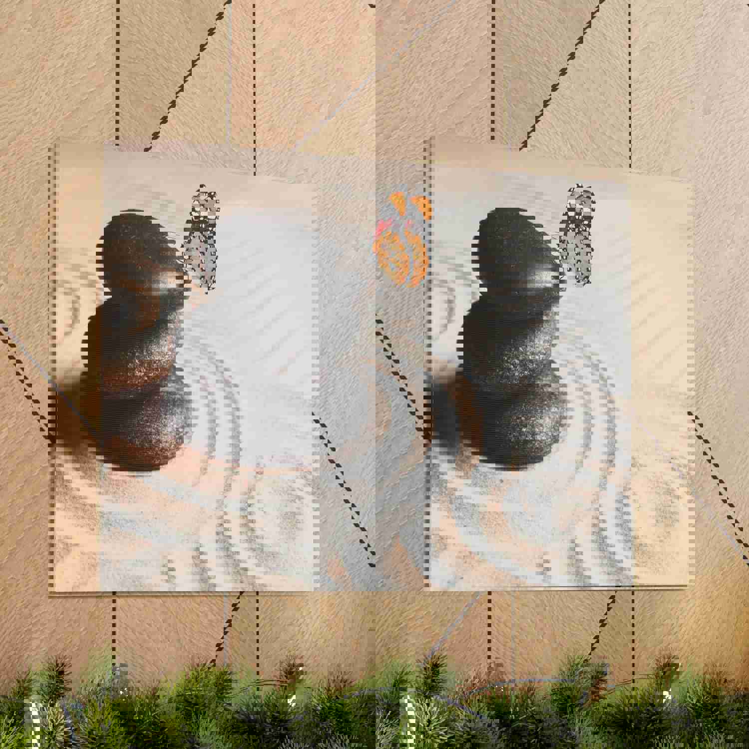 Stones on Sand Forest Floral Nature Photography Canvas Wall Art