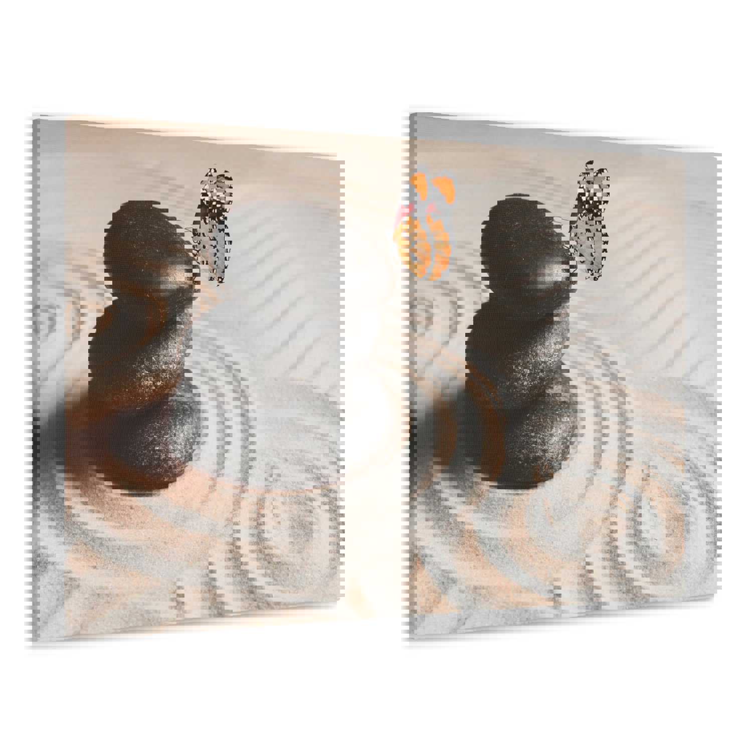 Stones on Sand Forest Floral Nature Photography Canvas Wall Art