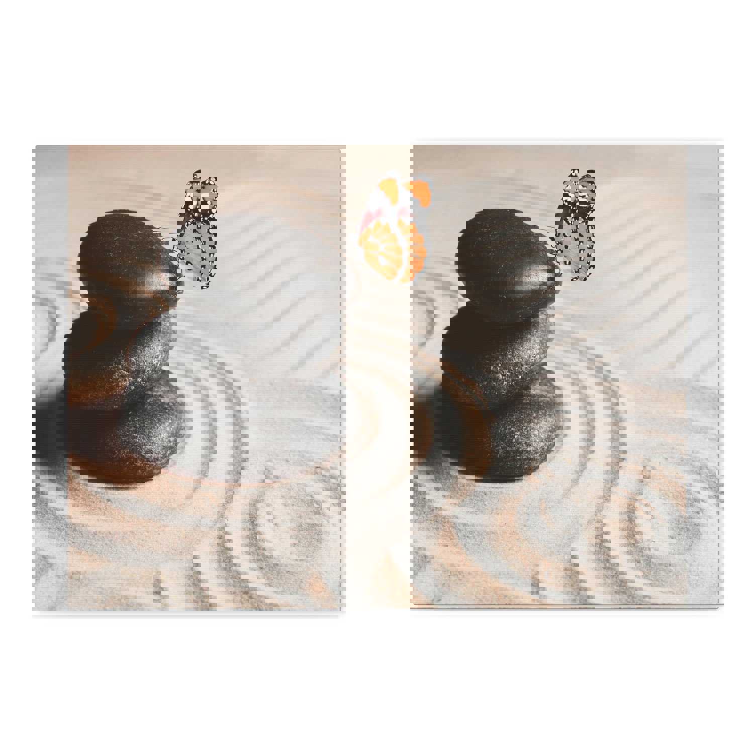 Stones on Sand Forest Floral Nature Photography Canvas Wall Art