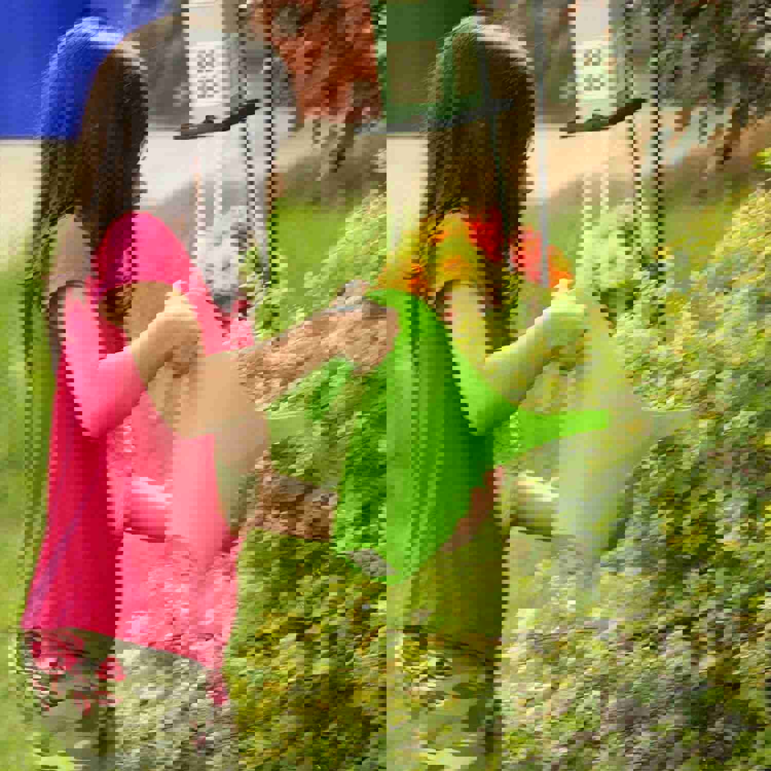 Ashman Set of 12 Watering Cans, 2L Capacity, Assorted Colors for Indoor & Outdoor Use