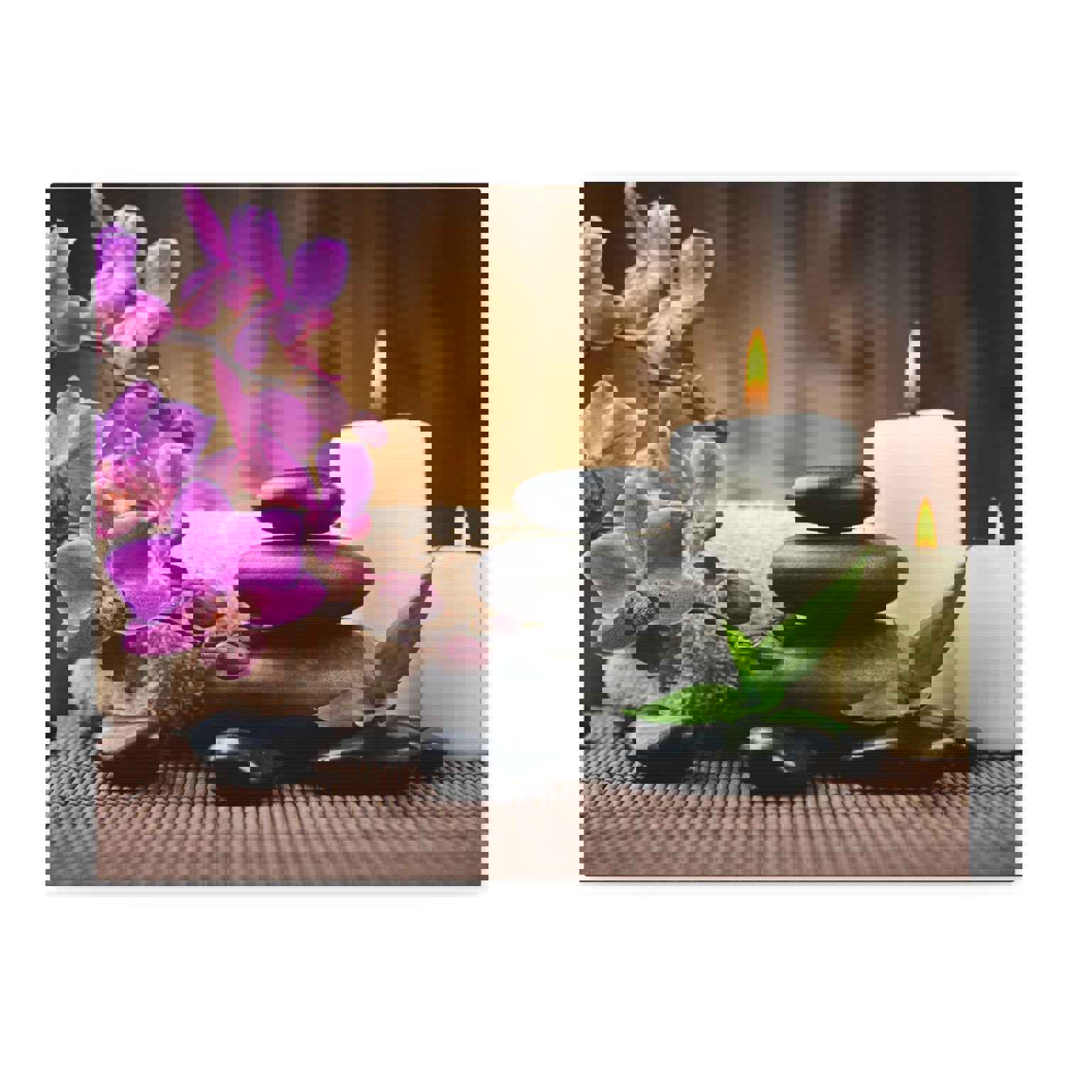 Stones and Bamboo Forest Floral Nature Photography Canvas Wall Art for Home Decor