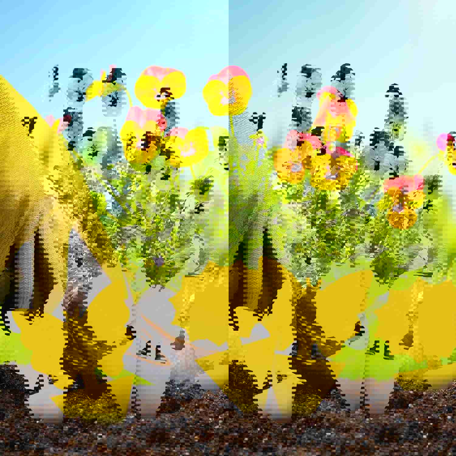 96PCS Yellow Sticky Traps for Fruit Flies, Fungus Gnats, and Flying Insects