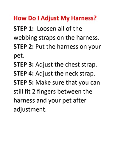Voyager Step-in Lock Pet Harness - Adjustable All-Weather Mesh for Cats and Dogs