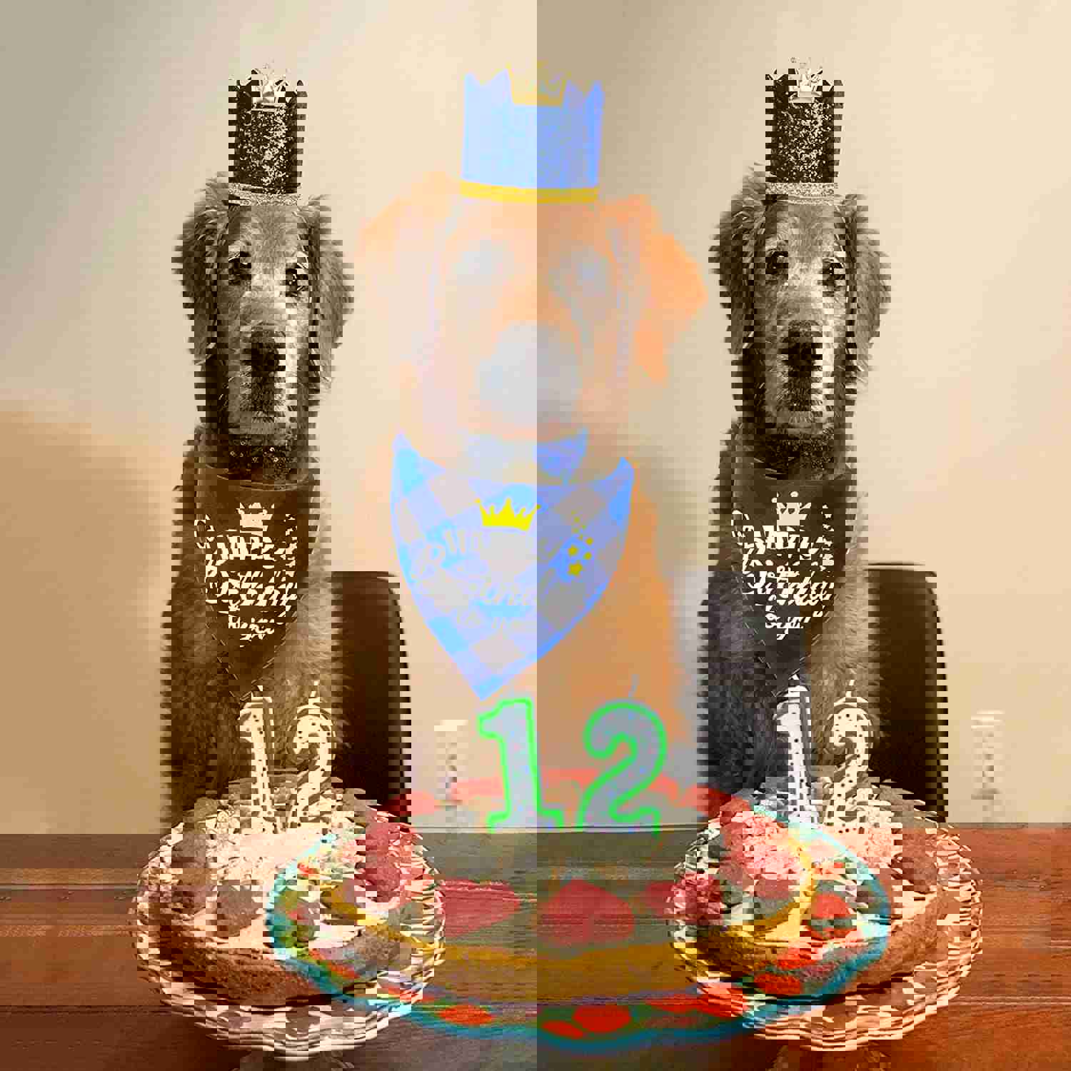 ADOGGYGO Dog Birthday Party Supplies Set with Hat, Bandana, and Bow Tie for Small to Medium Dogs