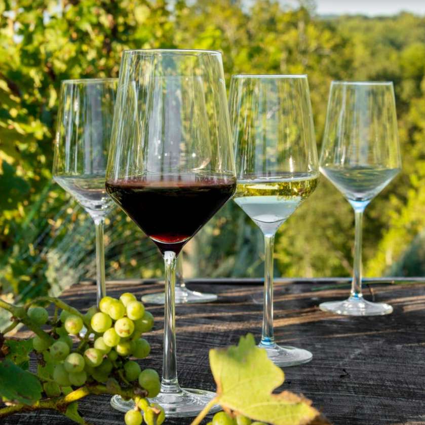 Pure 8pc Wine Glass Set - 4 White & 4 Red Glasses