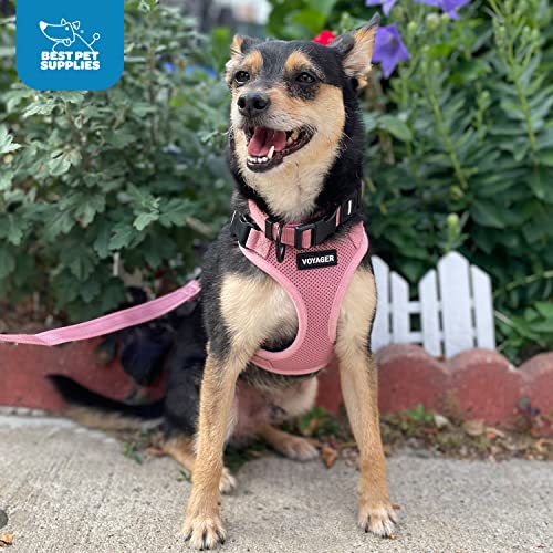 Voyager Step-in Lock Pet Harness - Adjustable All-Weather Mesh for Cats and Dogs