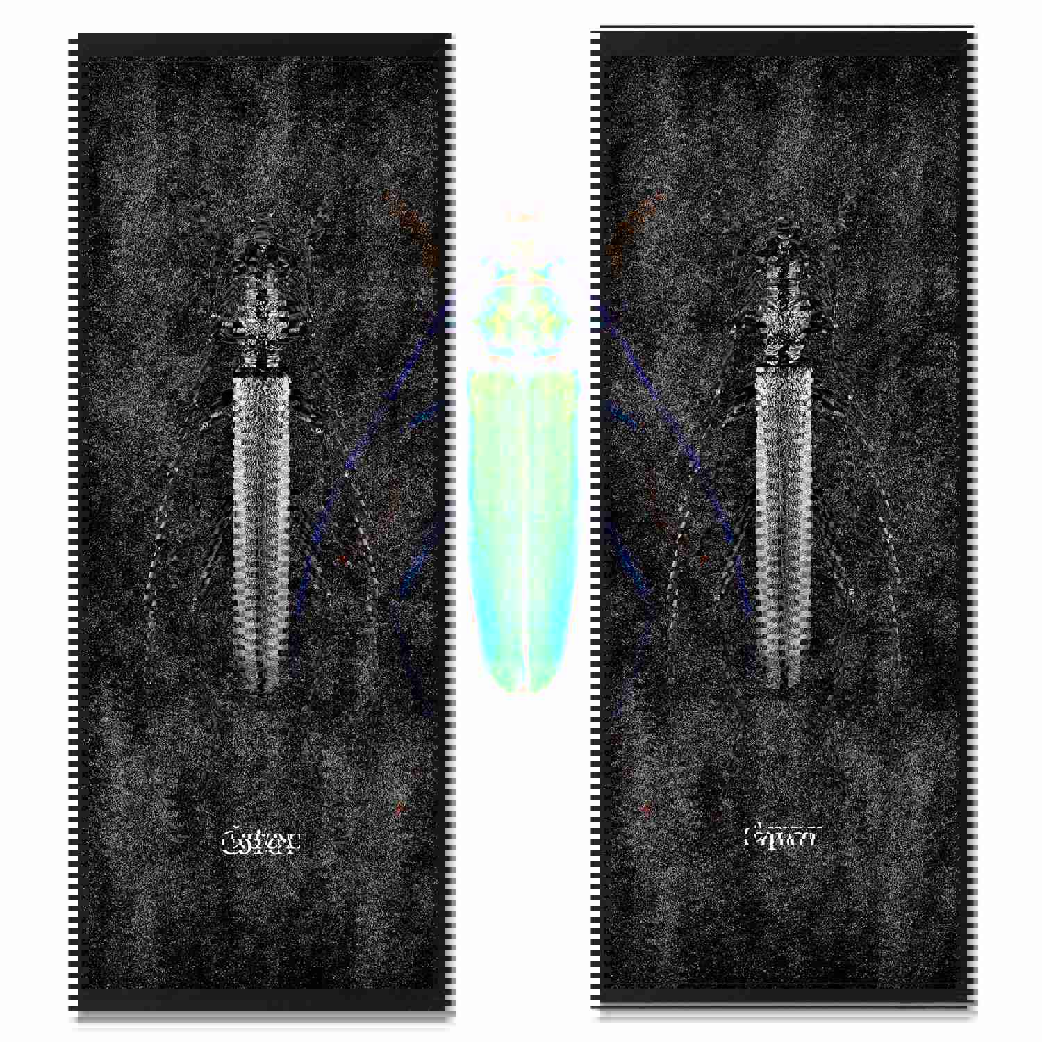 Capricorn Black Canvas Print - Stylish Wall Art for Home and Office Decor