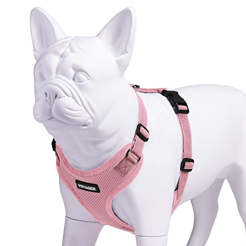 Voyager Step-in Lock Pet Harness - Adjustable All-Weather Mesh for Cats and Dogs