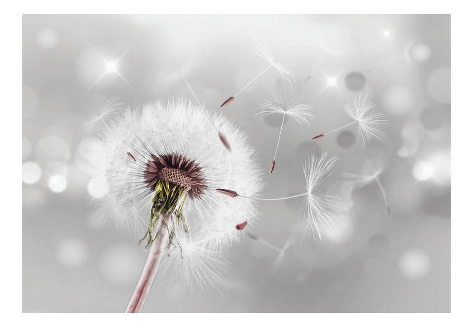 Peel & Stick Botanical Wall Mural - Dandelion Grasping The Invisible - Removable Wall Decals