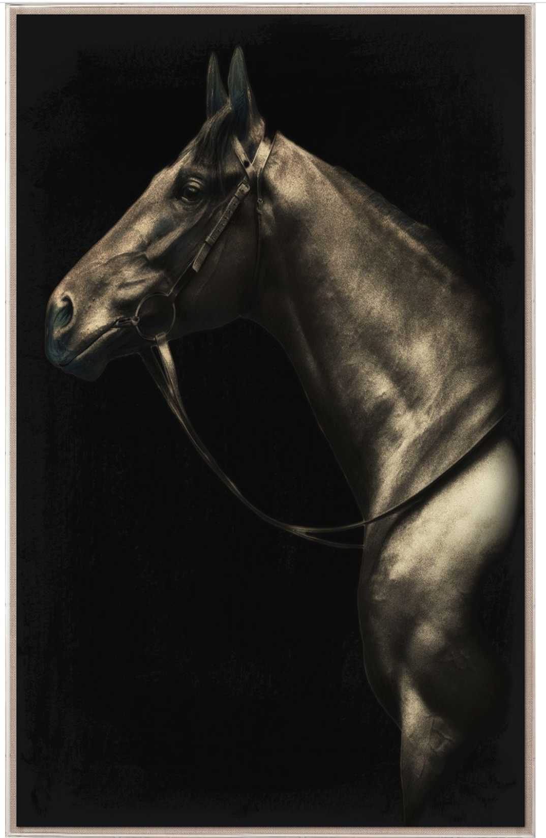 Natural Curiosities Caballus Horse 2 Art - Custom Framed Horse Artwork