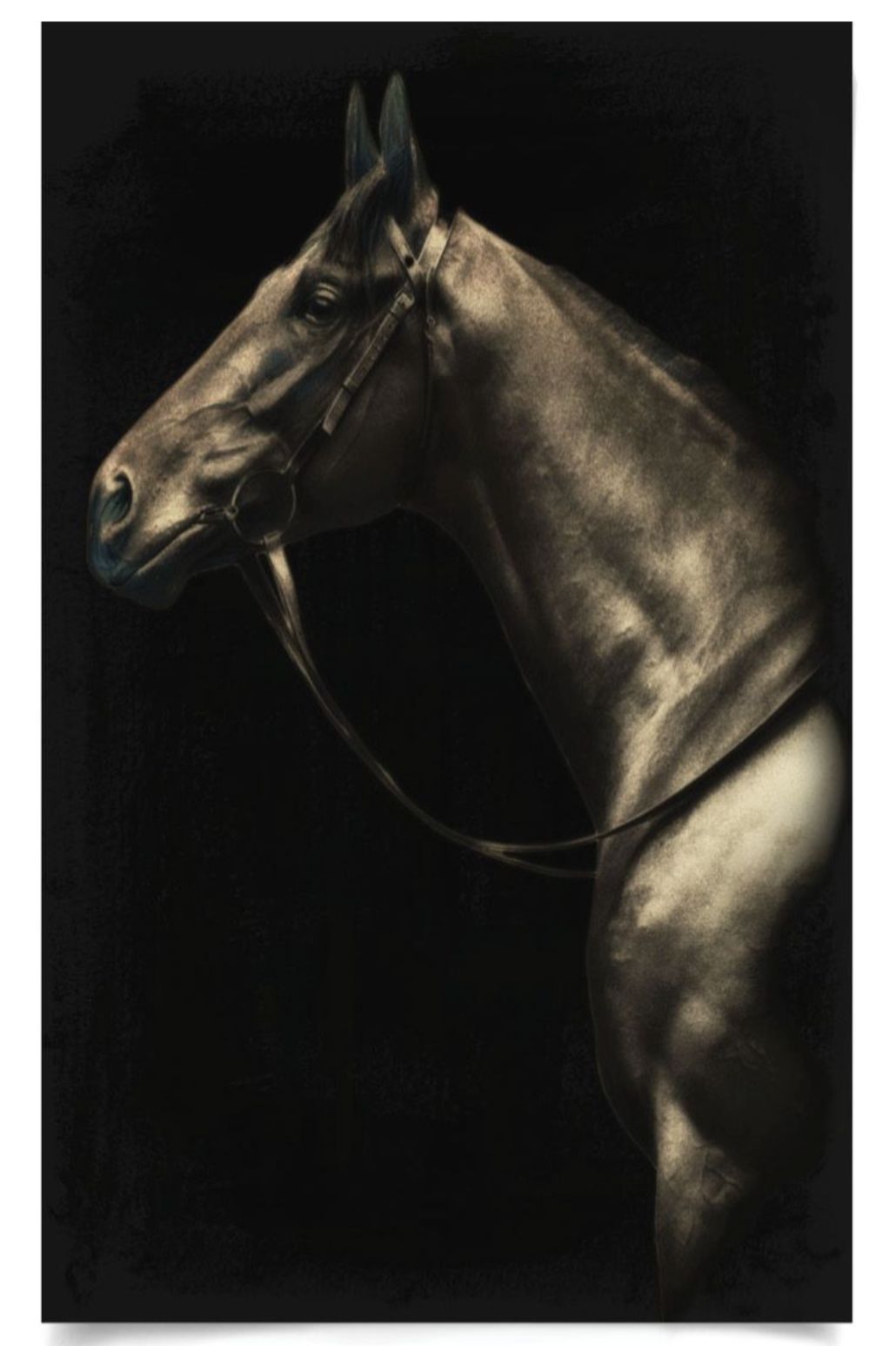 Natural Curiosities Caballus Horse 2 Art - Custom Framed Horse Artwork