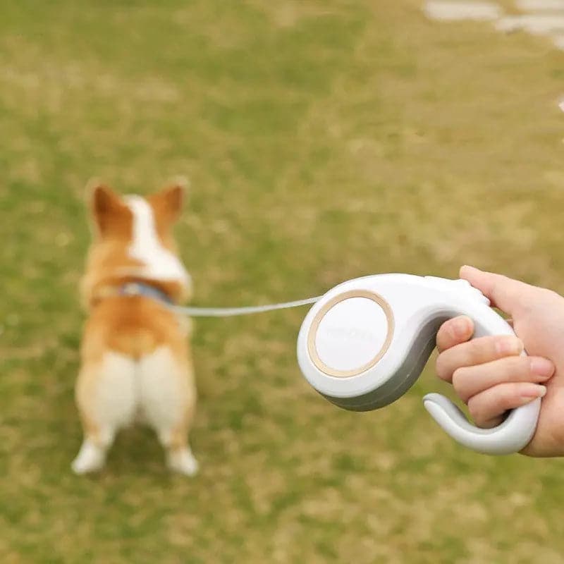 Automatic Retractable Dog Leash - Best Pet Dog Supplies