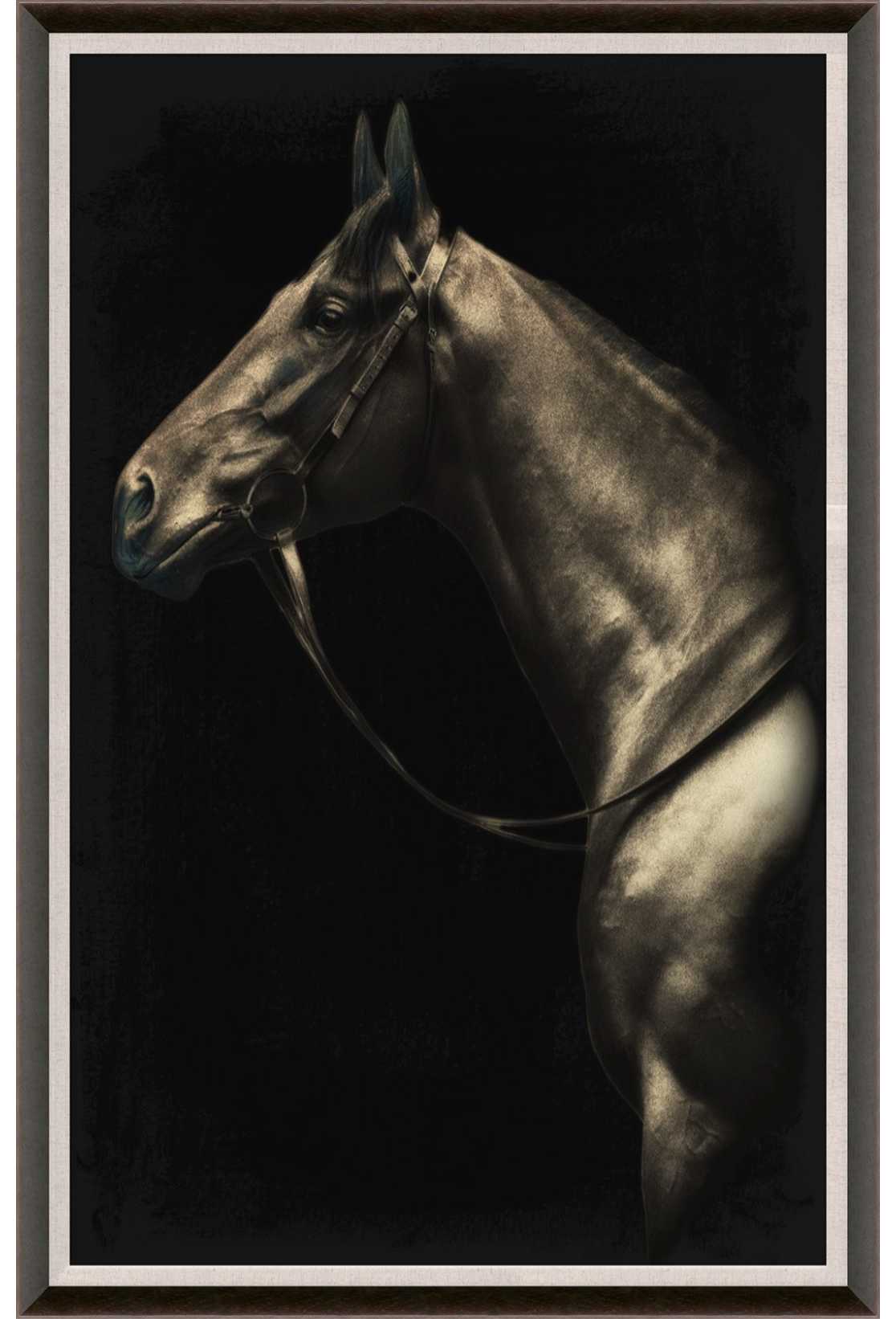 Natural Curiosities Caballus Horse 2 Art - Custom Framed Horse Artwork