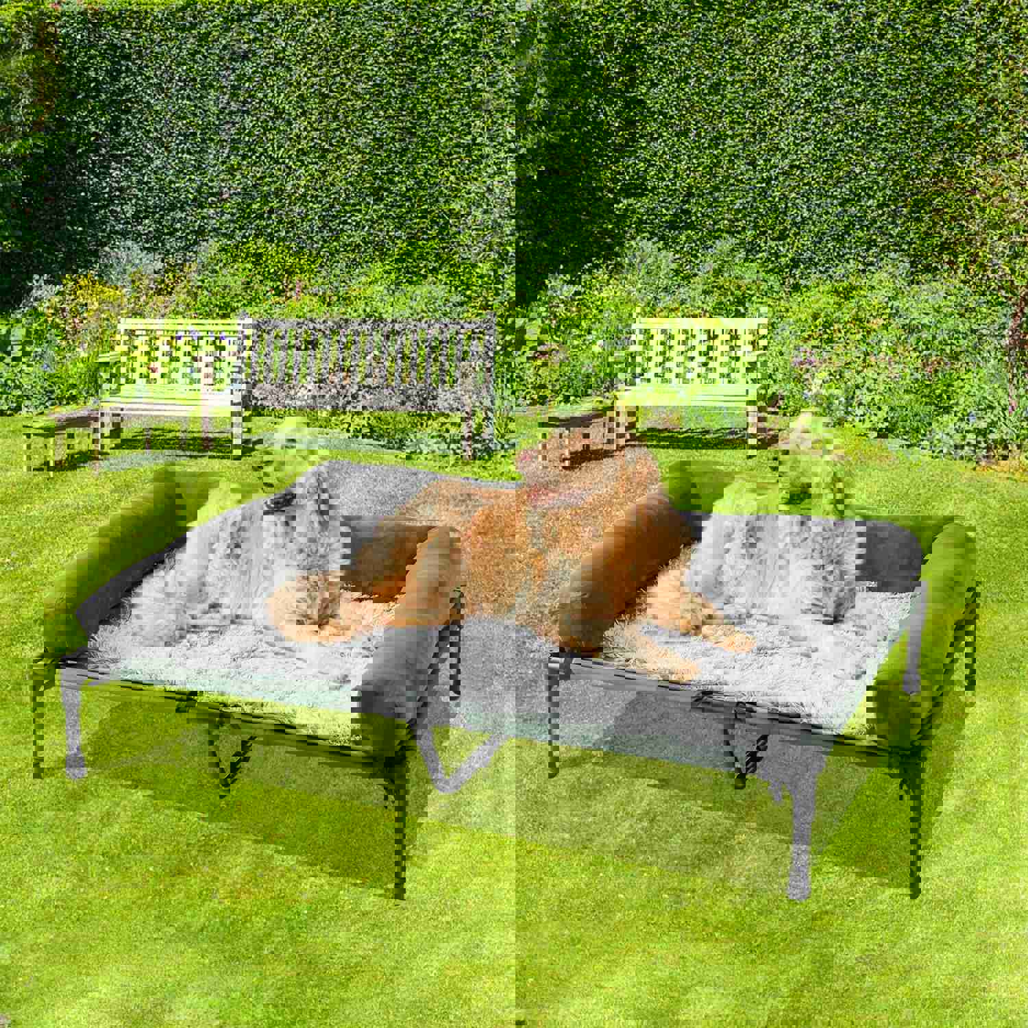 Extra Large Cooling Elevated Dog Bed with Bolster - Raised Pet Cot Lounger for Indoor & Outdoor Use