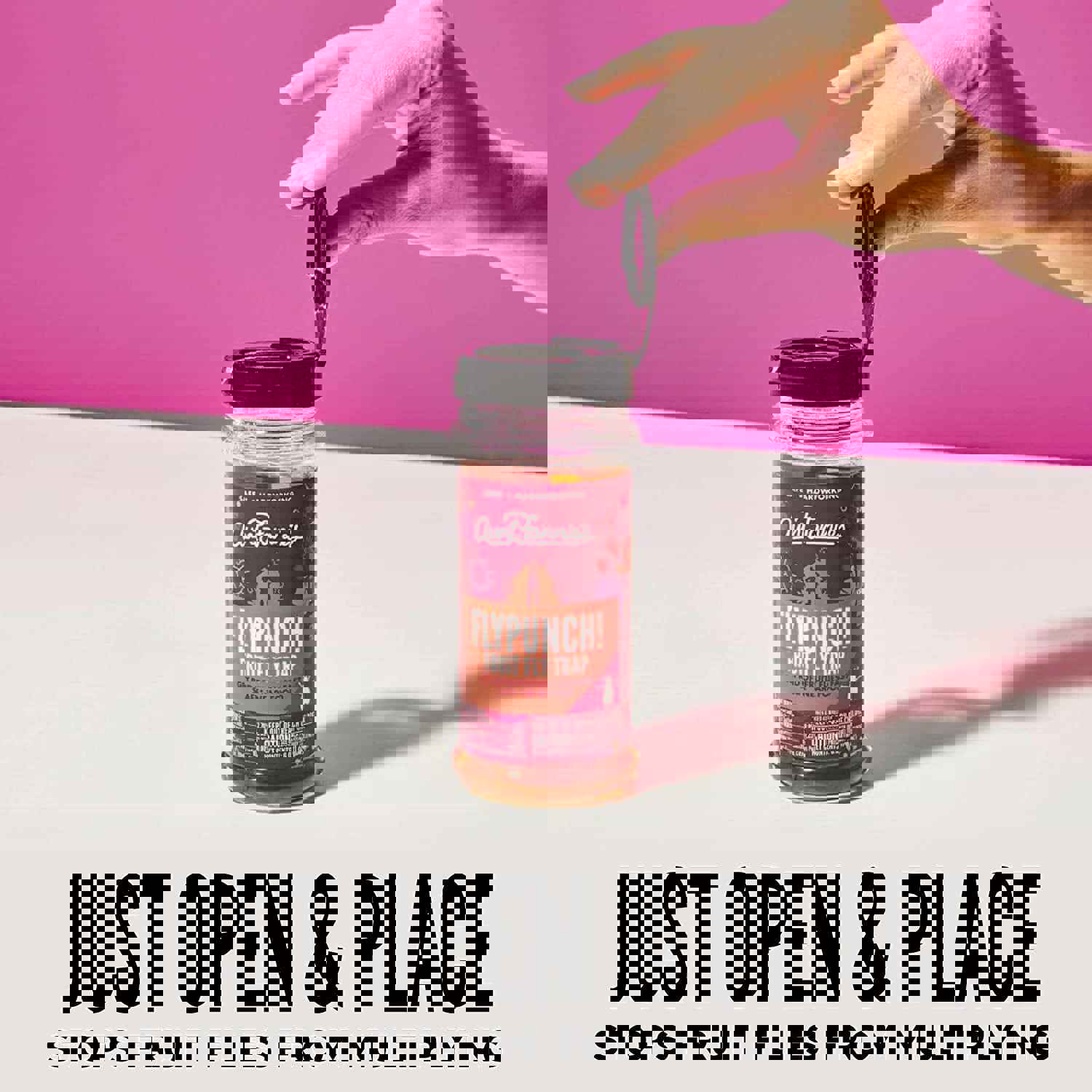 Aunt Fannie’S Flypunch Fruit Fly Trap (6 Pack) - Safe & Effective for Indoor and Kitchen Use