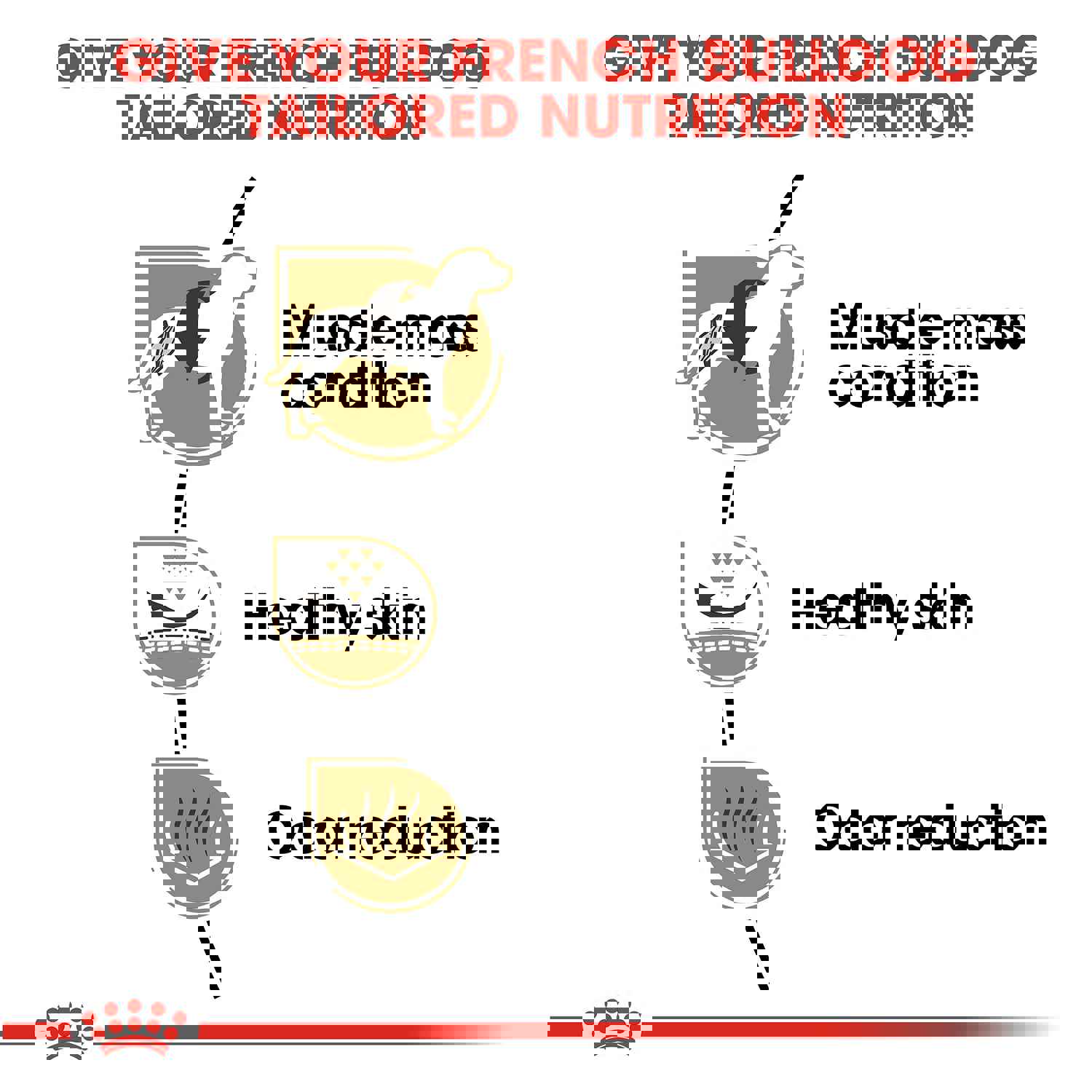 Royal Canin French Bulldog Adult Dry Dog Food, 17-lb Bag