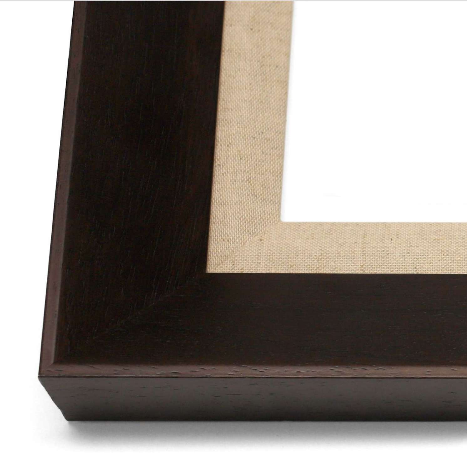 Natural Curiosities Caballus Horse 2 Art - Custom Framed Horse Artwork