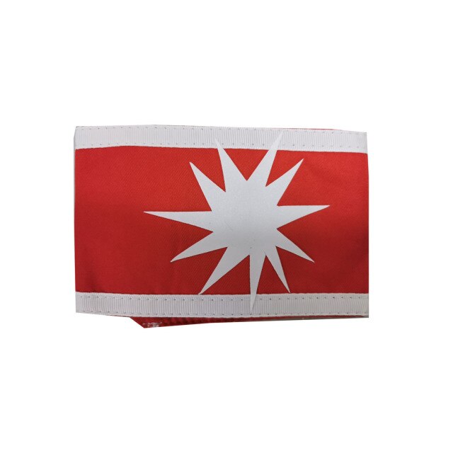 Attack on Titan Eldian Warrior Unit Pieck Cosplay Arm Band Accessory