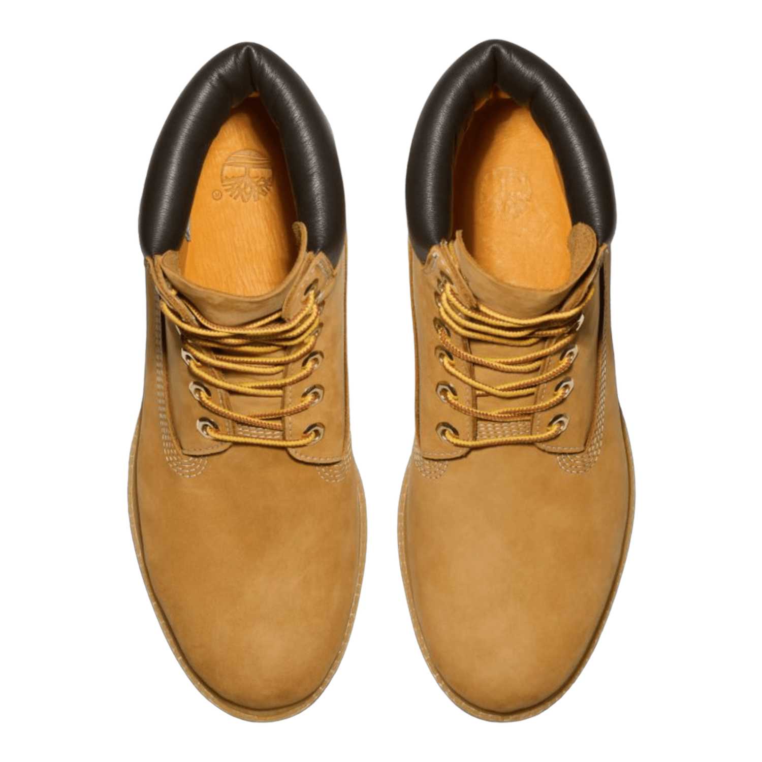 Timberland 6 Premium Waterproof Boot Wheat