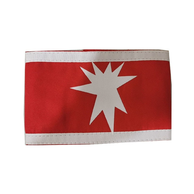 Attack on Titan Eldian Warrior Unit Pieck Cosplay Arm Band Accessory