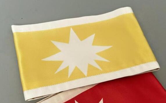 Attack on Titan Eldian Warrior Unit Pieck Cosplay Arm Band Accessory