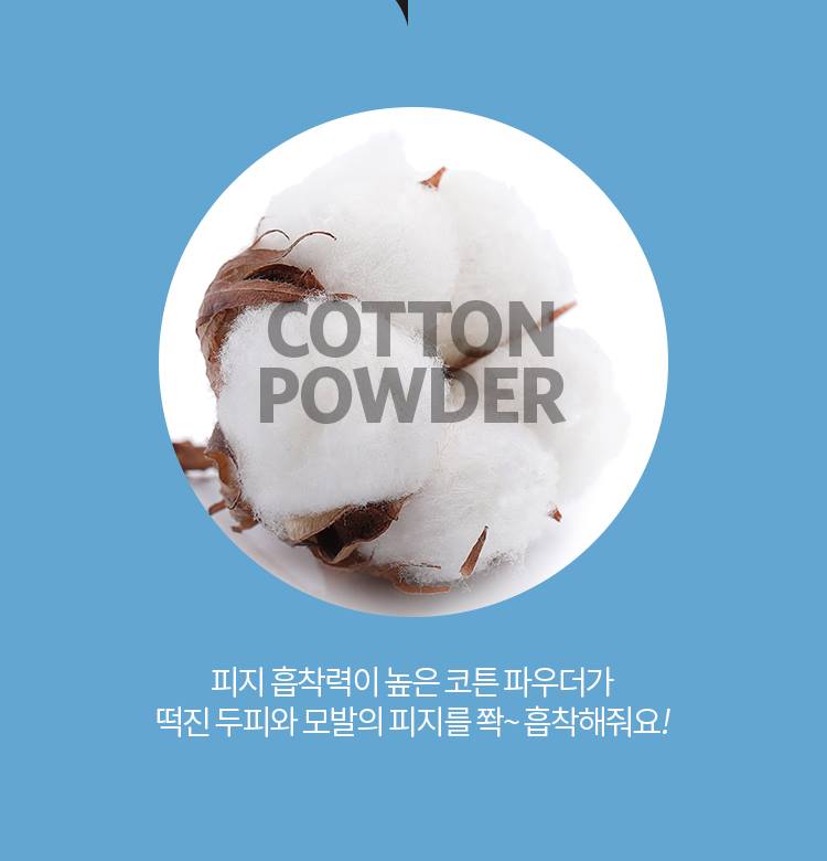 APIEU Oily Hair Dry Powder 5g for Oil Control and Soft Hair