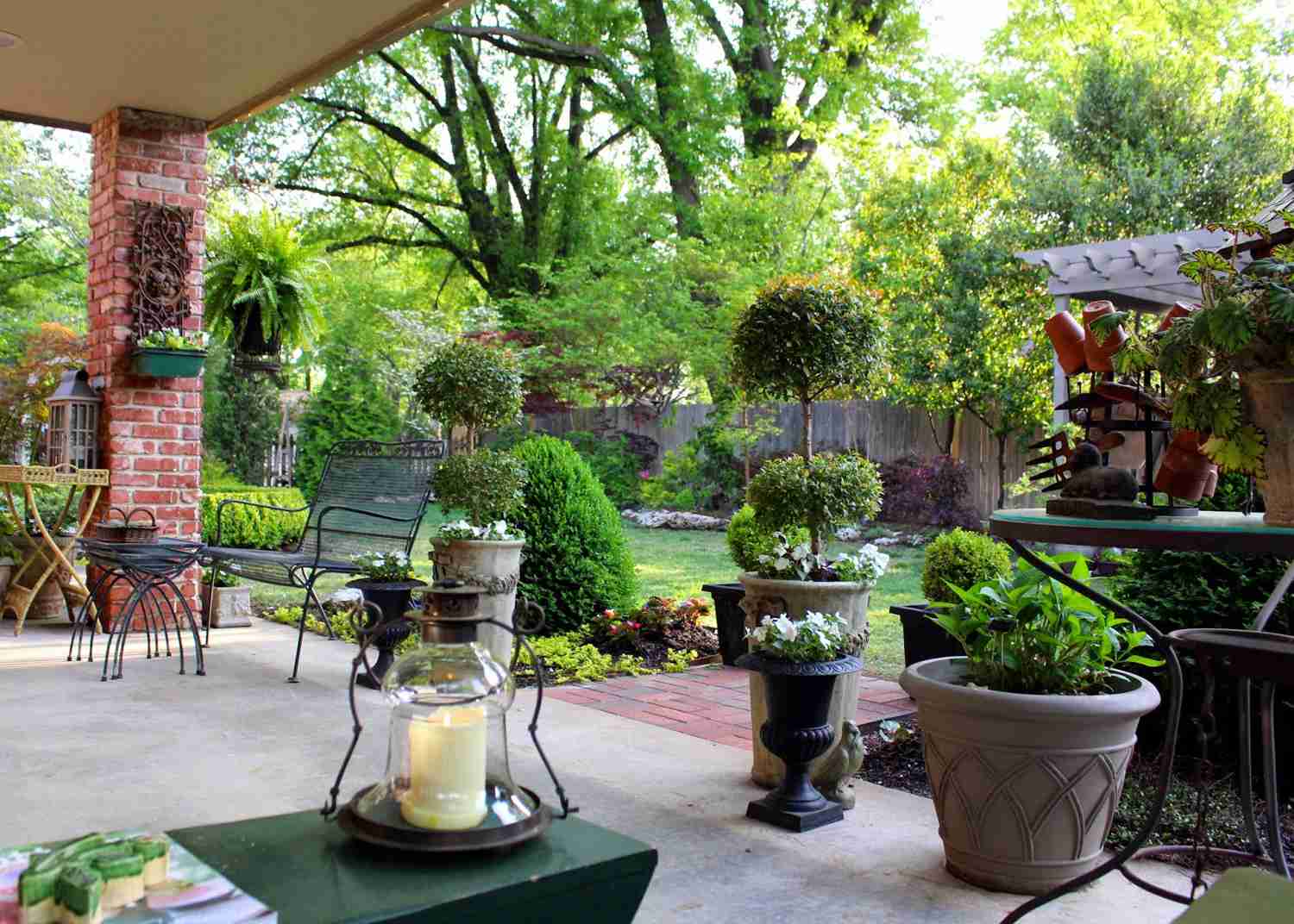 Eugenia 2 Ball Topiary - Live Plant in 6 Inch Pot - 1-2 Feet Tall - Perfect for Outdoor Decor