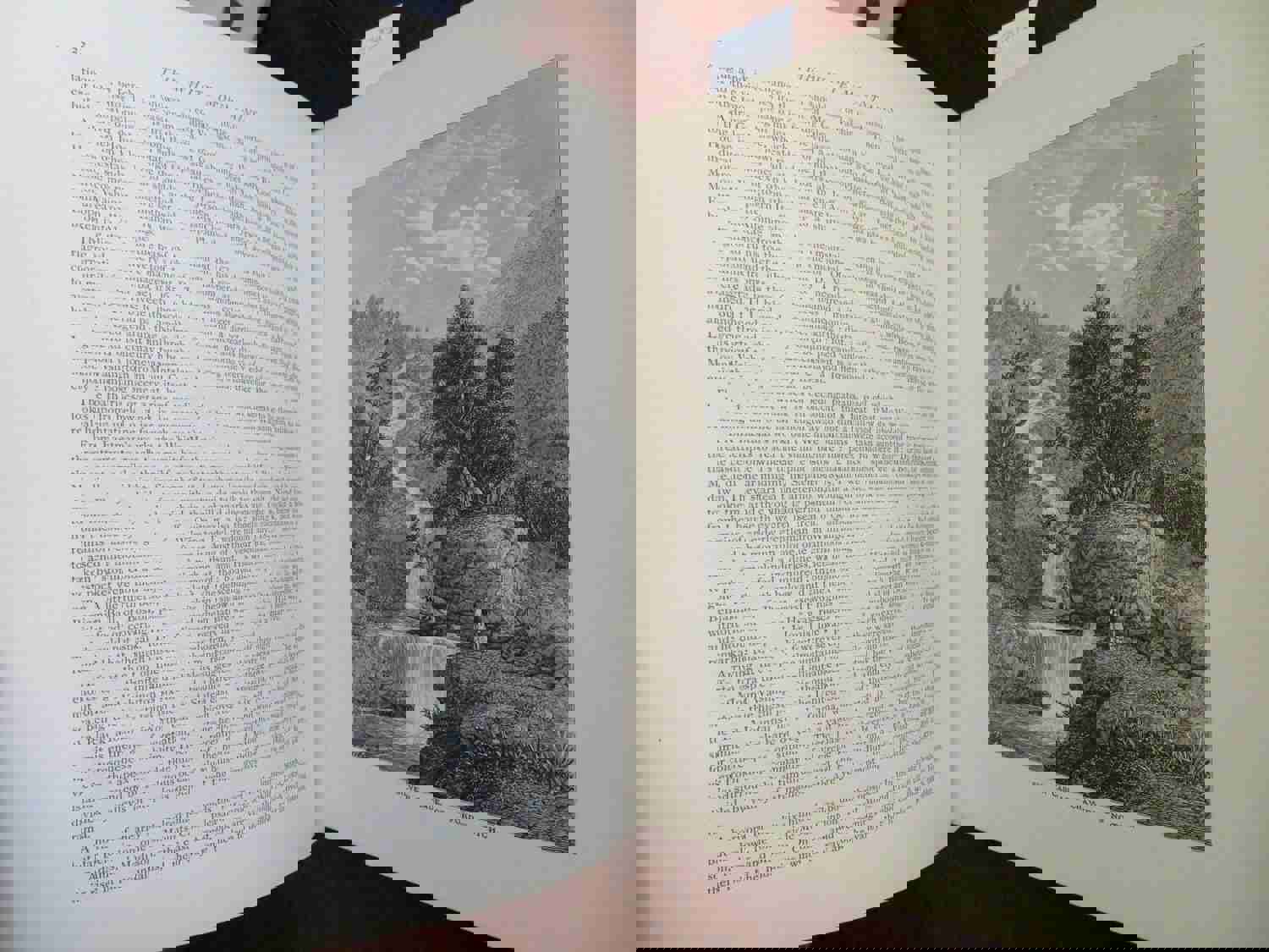 America Illustrated 1879 Williams Souvenir Wood Engravings Illustrated Book