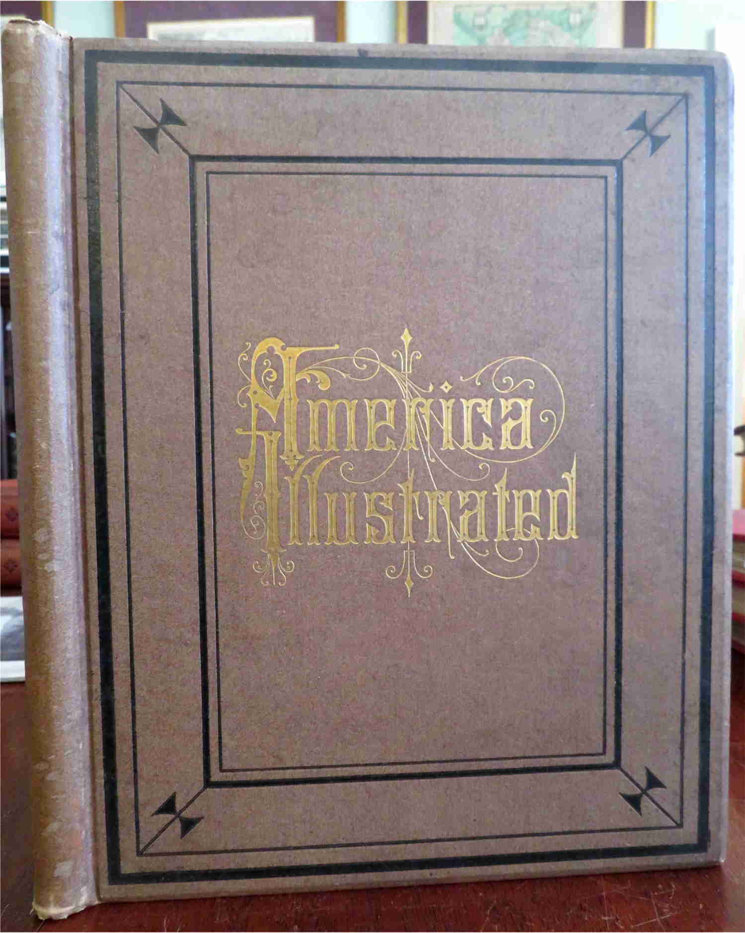 America Illustrated 1879 Williams Souvenir Wood Engravings Illustrated Book