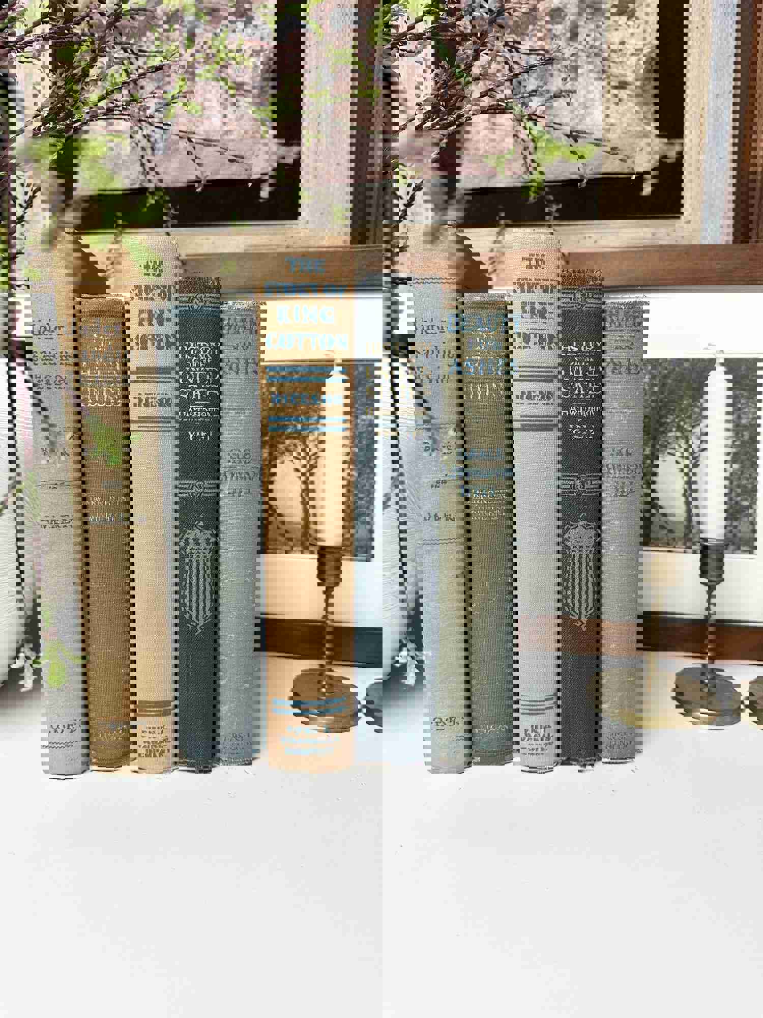 Blue Vintage Book Set - Decorative Books for Shelf and Home Decor