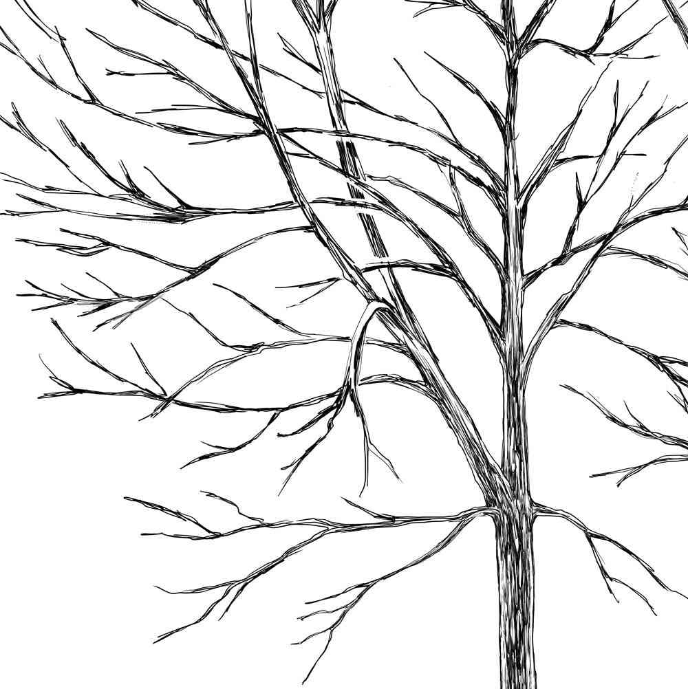 Pine Tree Thumbprint Alternative Guest Book - Unique Wedding Keepsake