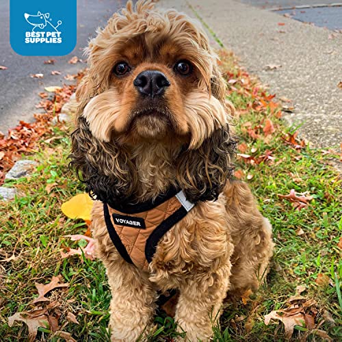 Voyager Step-In Plush Dog Harness – Soft & Reflective Vest for Small and Medium Dogs