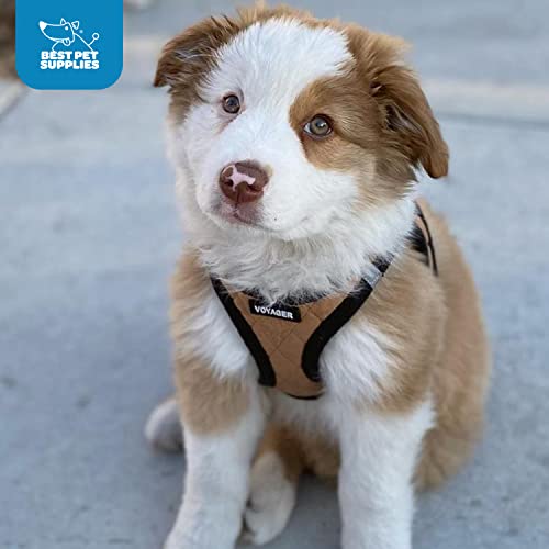 Voyager Step-In Plush Dog Harness – Soft & Reflective Vest for Small and Medium Dogs