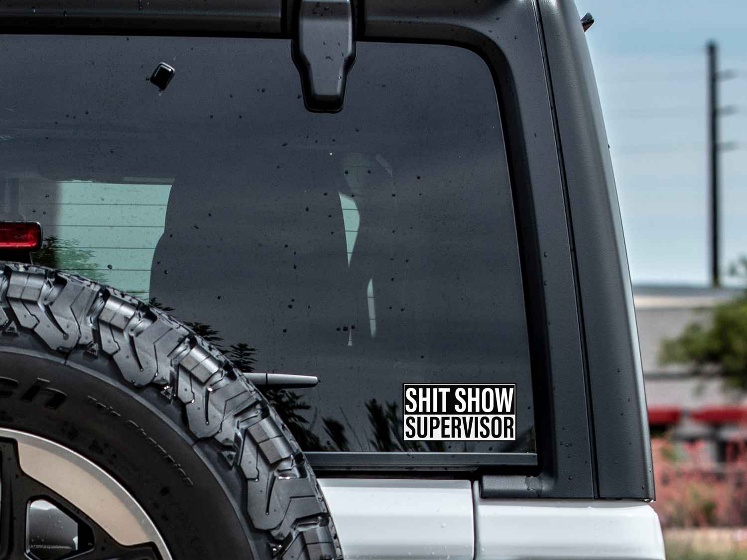 Shit Show Supervisor Decal - High Quality Vinyl Bumper Sticker for Cars