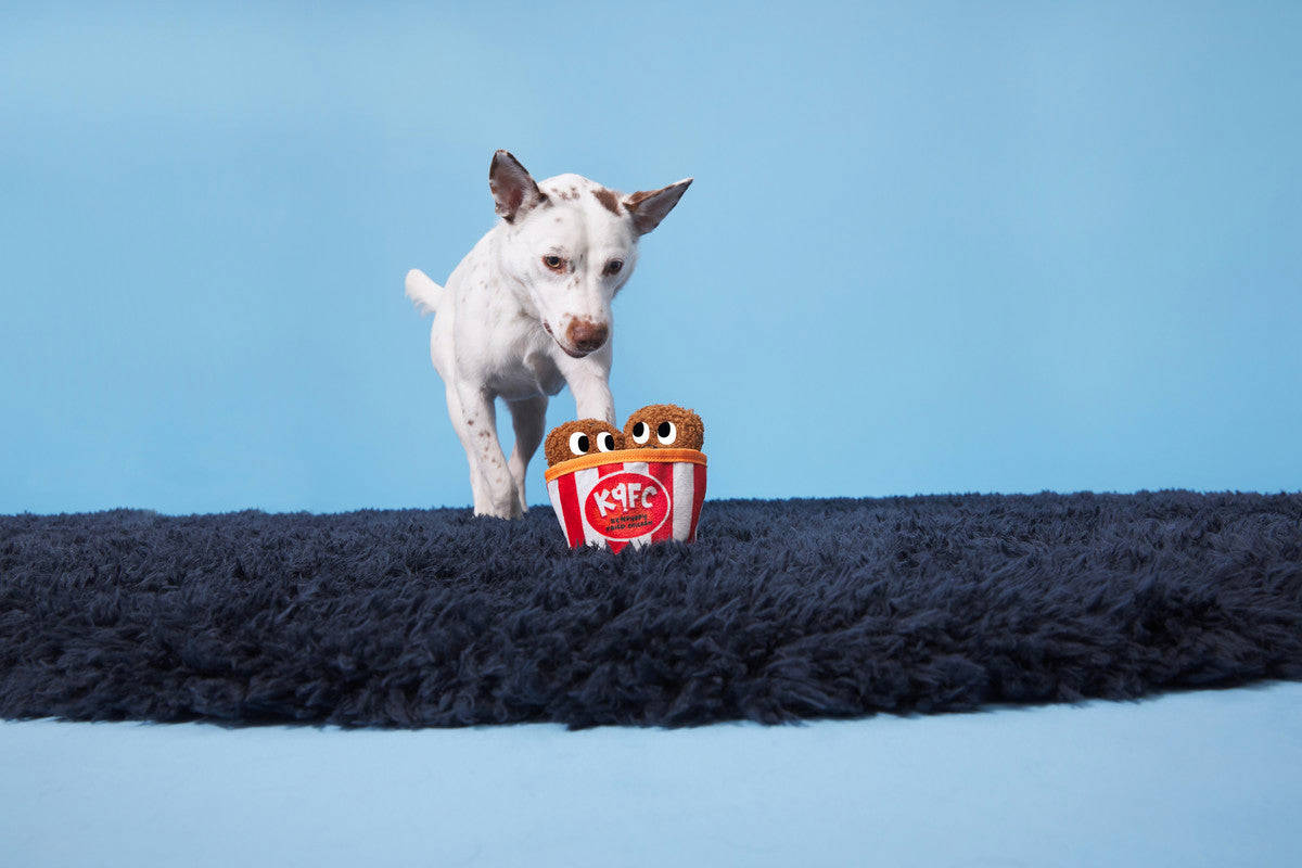 BARK Kenpuppy Fried Chicken Dog Toy