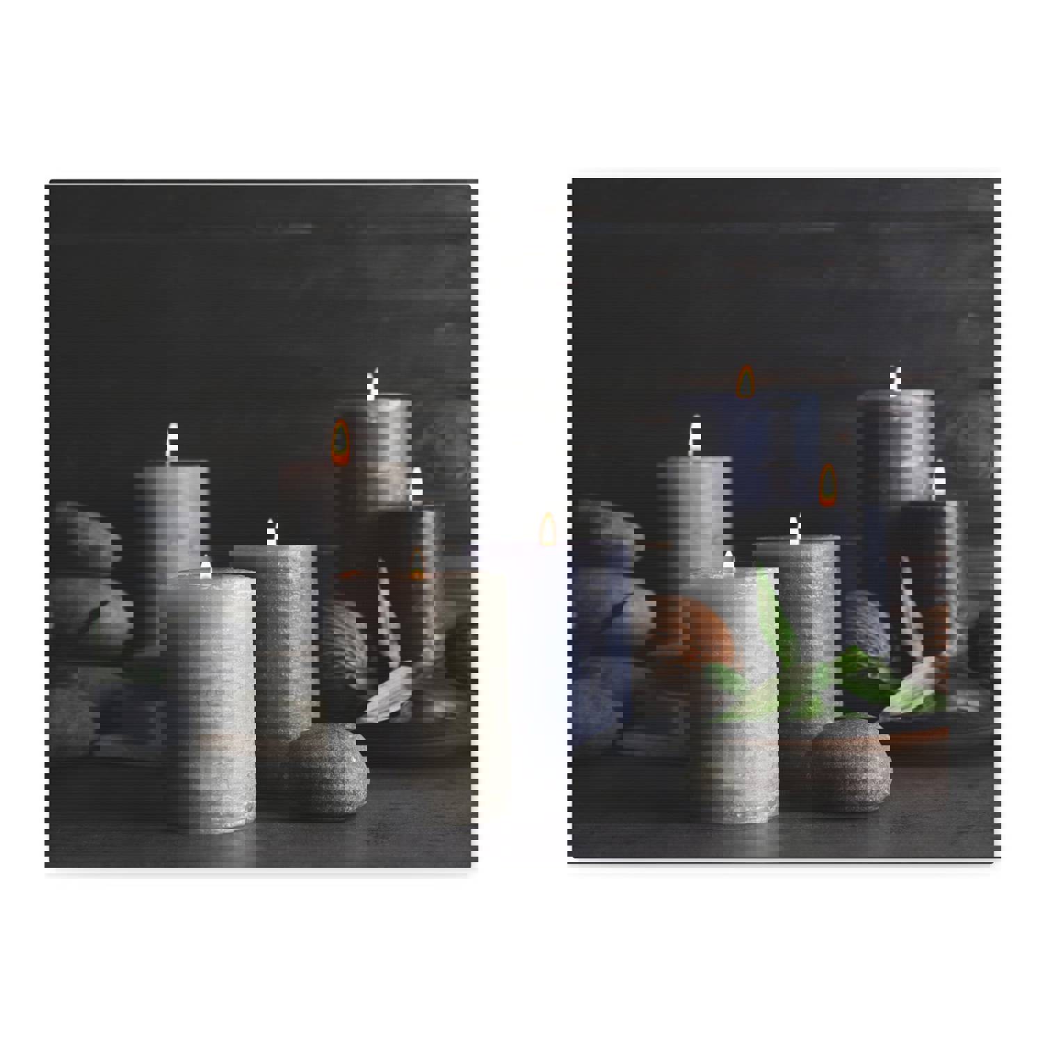 Forest Floral Nature Photography Canvas Wall Art - Ready-to-Hang Home Decor