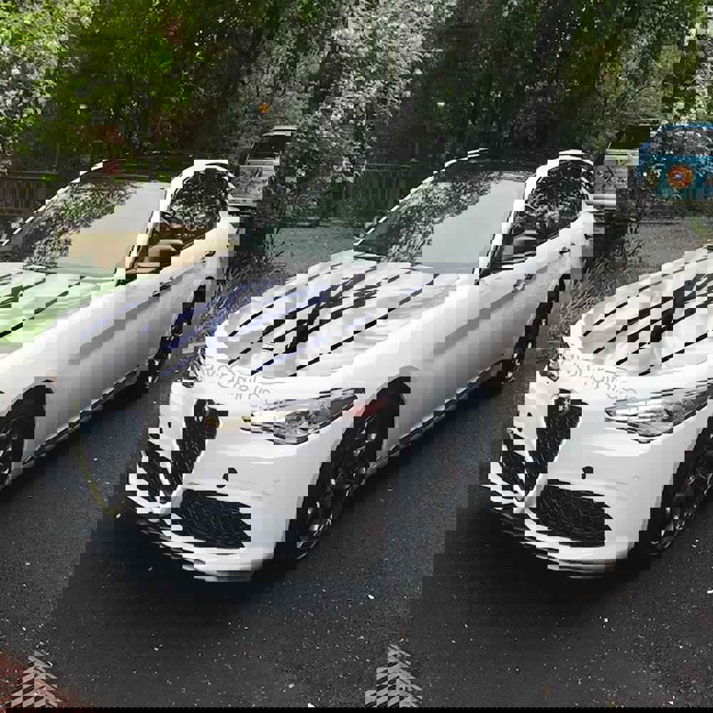 New York Yankees Itasha Car Vinyl Hood Wrap Decal Sticker