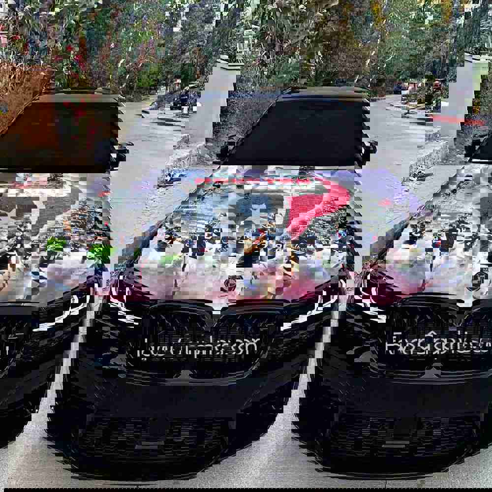 Houston Texans Itasha Car Vinyl Hood Wrap Decal Sticker