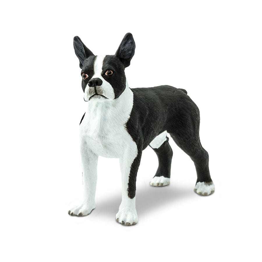 Boston Terrier Toy Figurine - Hand Painted & Realistic Detail