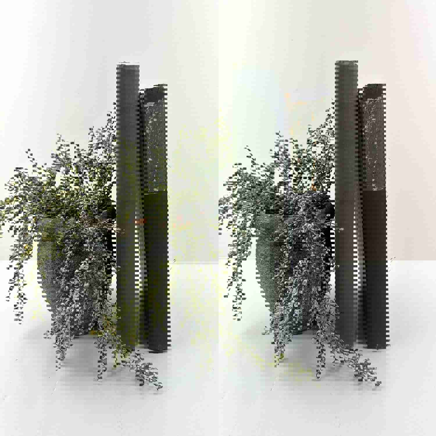 Green Vintage Book Set for Home Decor