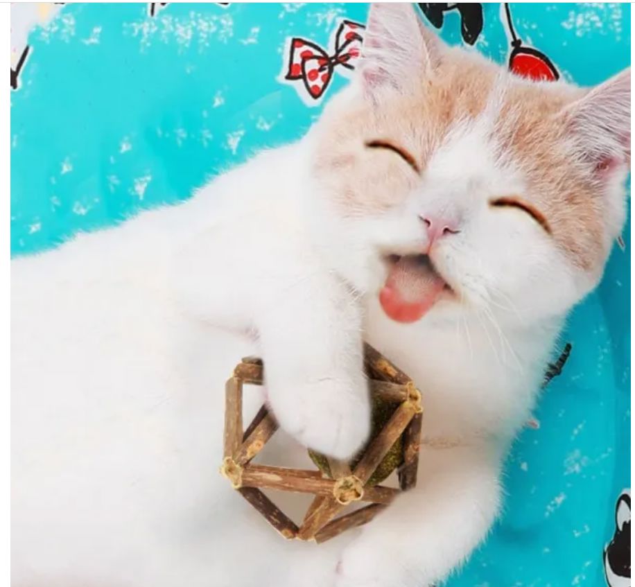 Natural Silvervine Sticks Catnip Ball Chew Toy for Cats