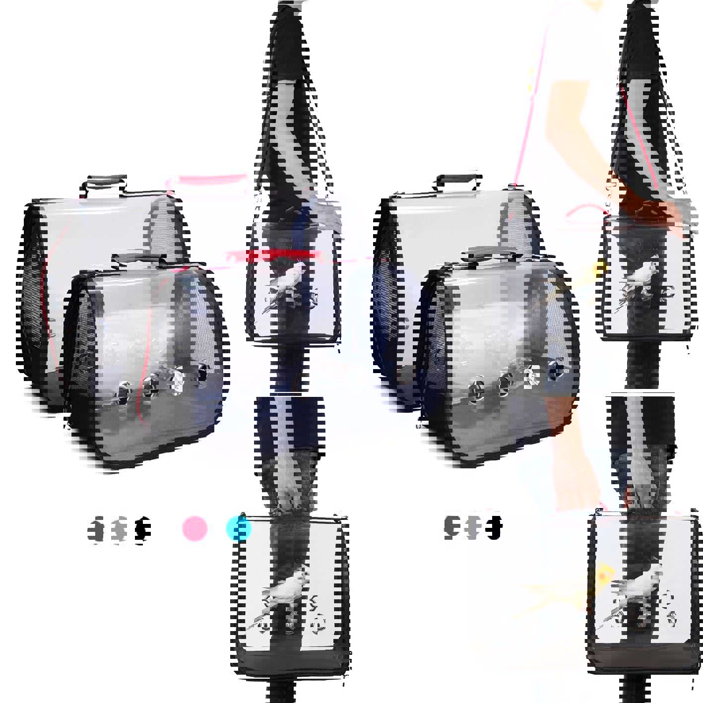 Transparent Parrot Carrying Backpack with Stand Stick - Pet Bird Travel Accessory