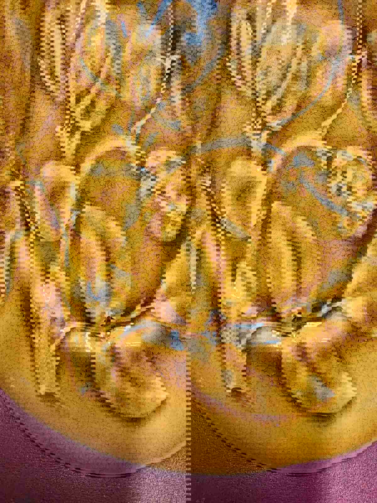 Antique 1800s French Hautin Boulanger Cie Choisey Le Roi Majolica Plate