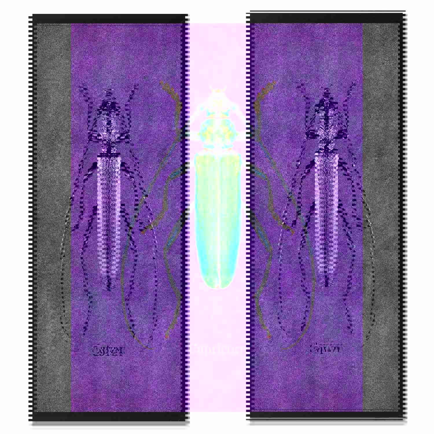 Capricorn Purple Canvas Print - Stylish Wall Art for Home and Office Decor