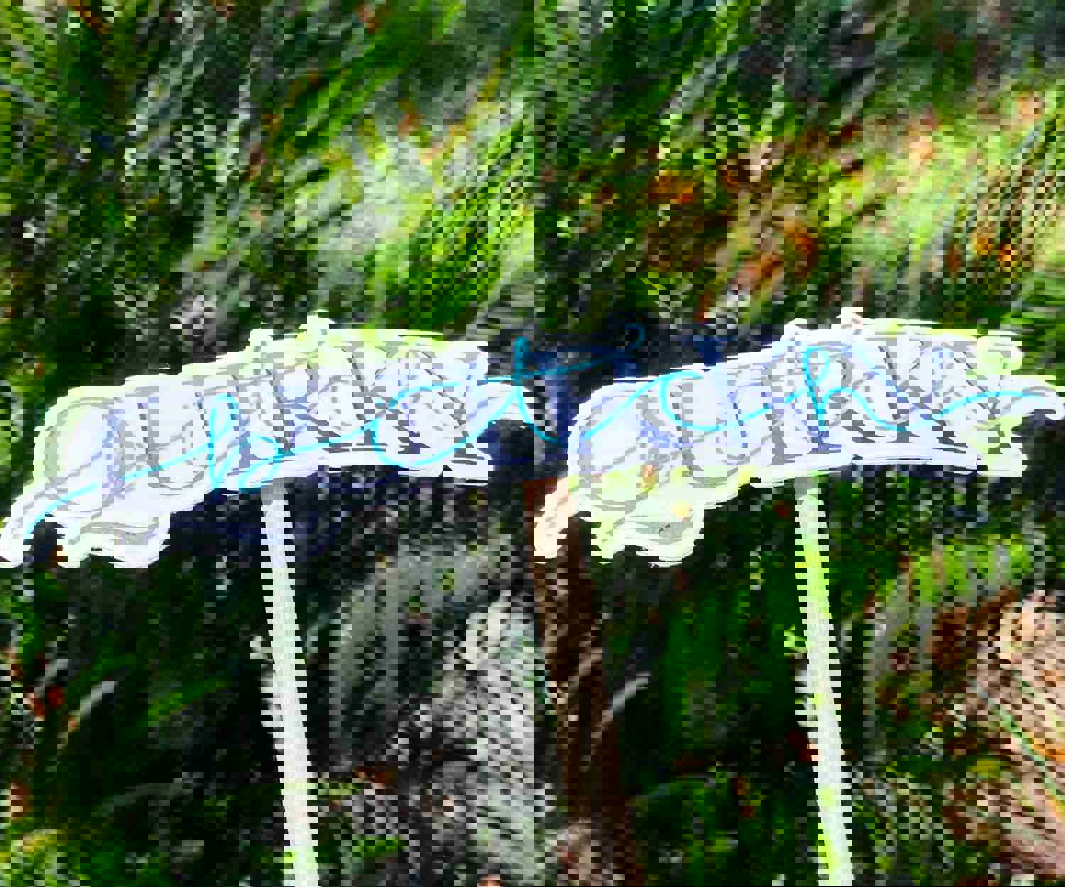 Quirky Bitch Sticker - Weatherproof Vinyl Decal