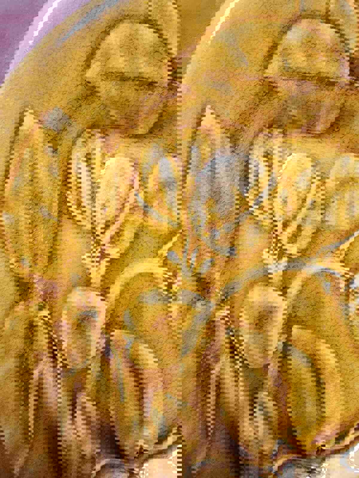 Antique 1800s French Hautin Boulanger Cie Choisey Le Roi Majolica Plate