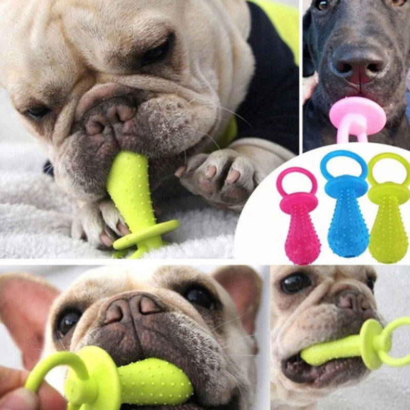 1PCS Rubber Chew Toy for Small Dogs - Teeth Cleaning & Training Pet Toy