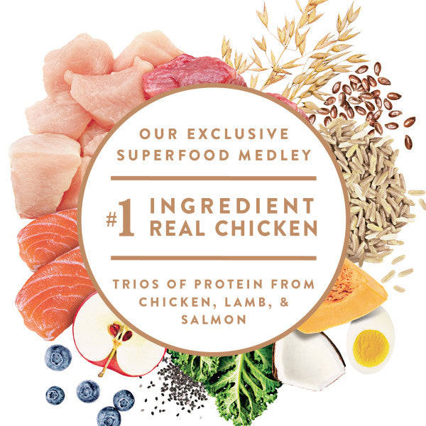 NUTRO ULTRA Toy Breed Adult High Protein Natural Dry Dog Food with Chicken, Lamb, and Salmon, 4-lb Bag