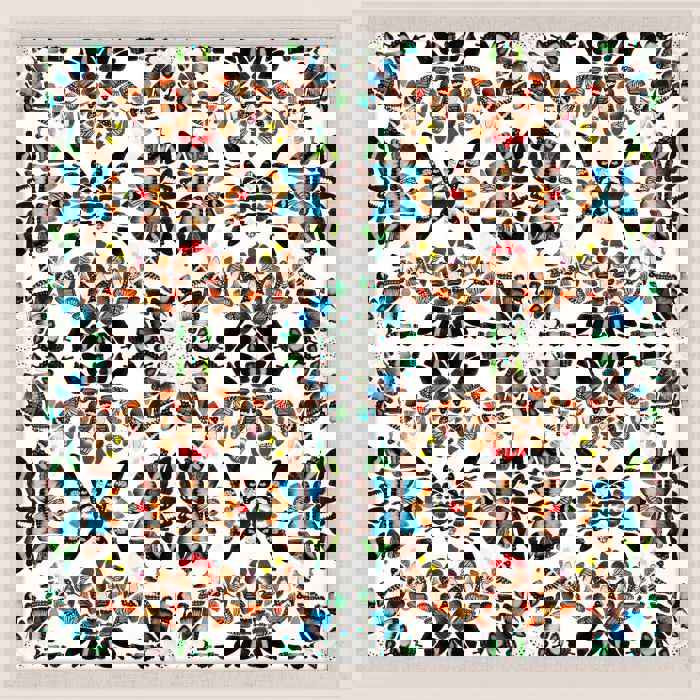 Butterfly Patterns 1 Art by Natural Curiosities - Handcrafted Framed Butterfly Wing Art