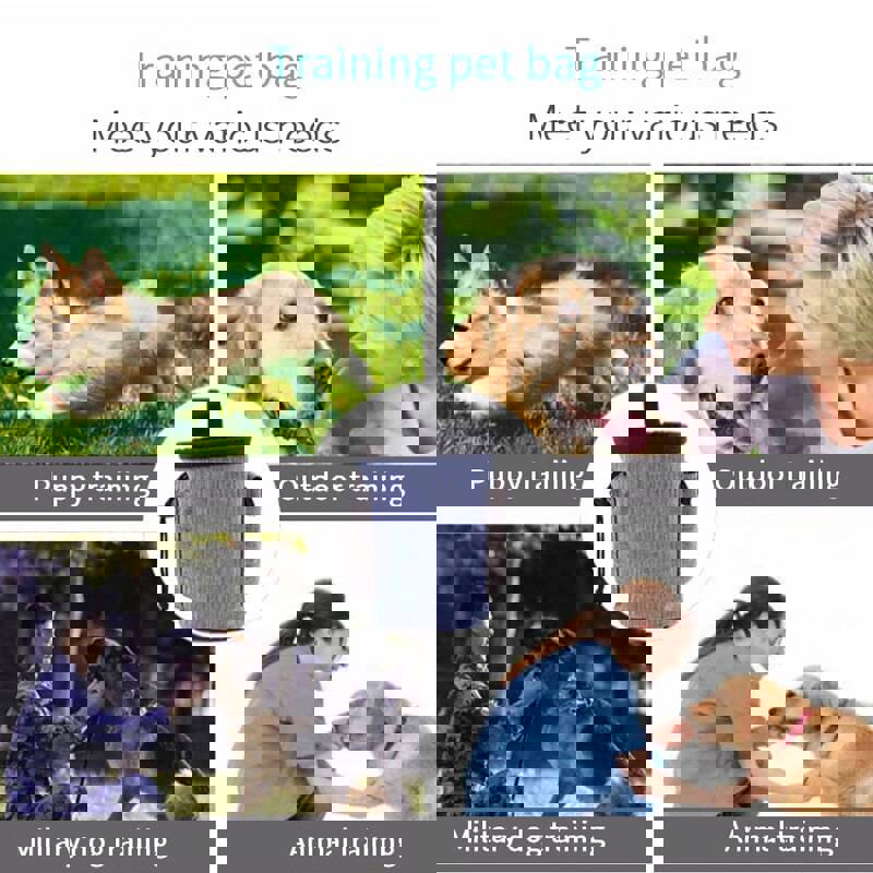 Petshy Portable Outdoor Dog Treat Bag for Training and Rewards